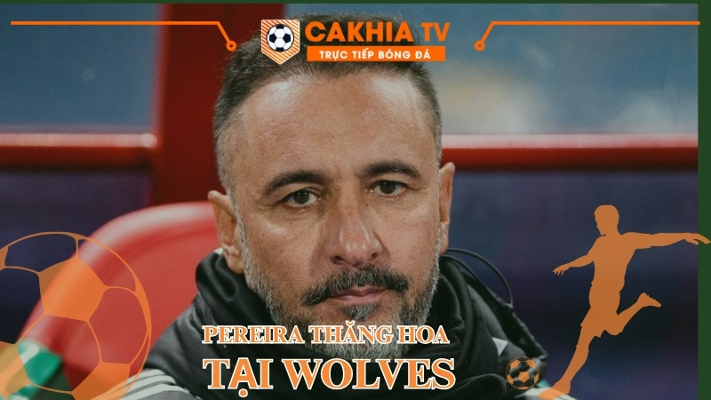 Pereira thăng hoa tại Wolves giữa vòng lặp thành công rồi sụp đổ